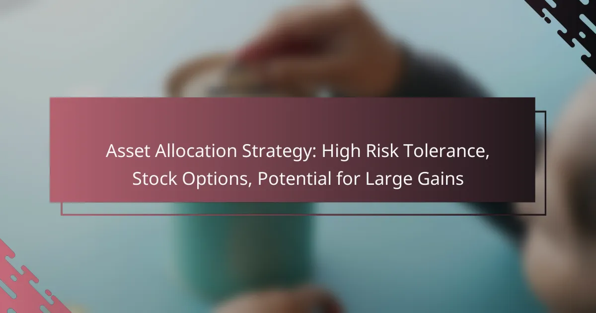 Asset Allocation Strategy: High Risk Tolerance, Stock Options, Potential for Large Gains