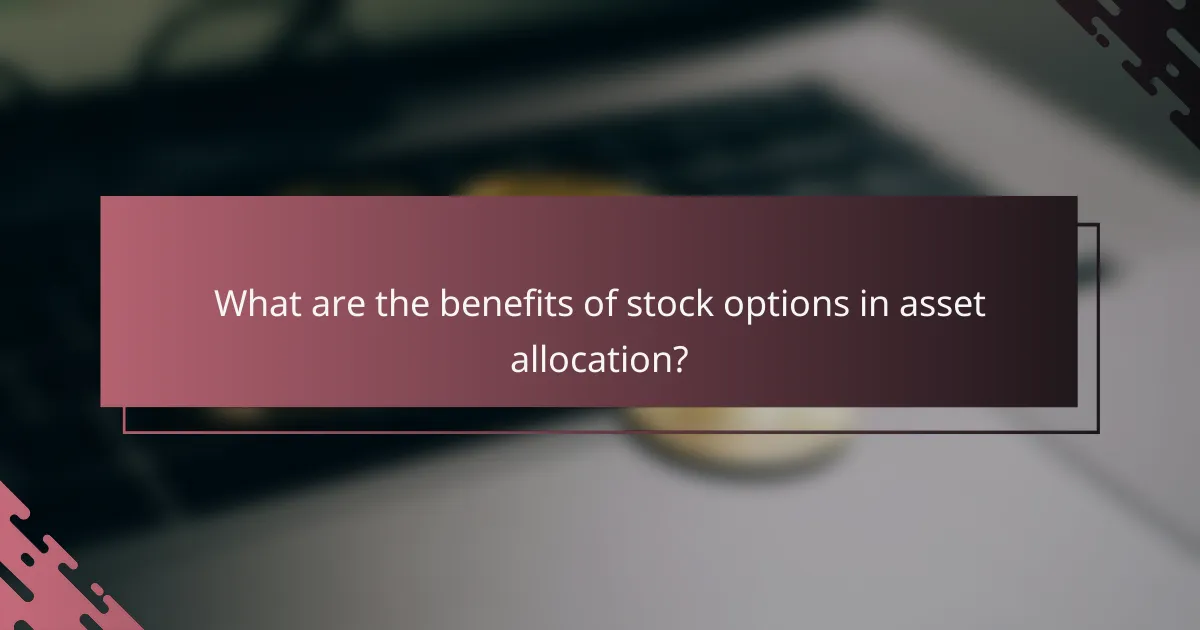 What are the benefits of stock options in asset allocation?