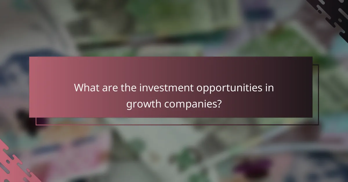 What are the investment opportunities in growth companies?